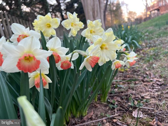 601 SIDELING CT NE, Vienna, VA 22180