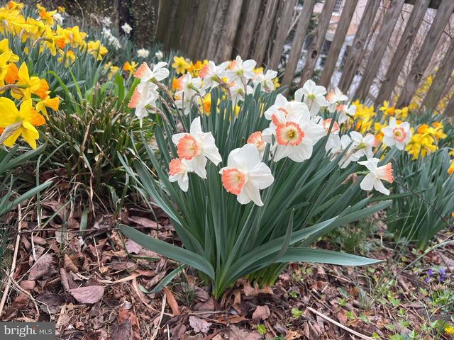 601 SIDELING CT NE, Vienna, VA 22180