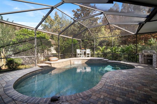 15035 WIND WHISPER DRIVE, Odessa, FL 33556