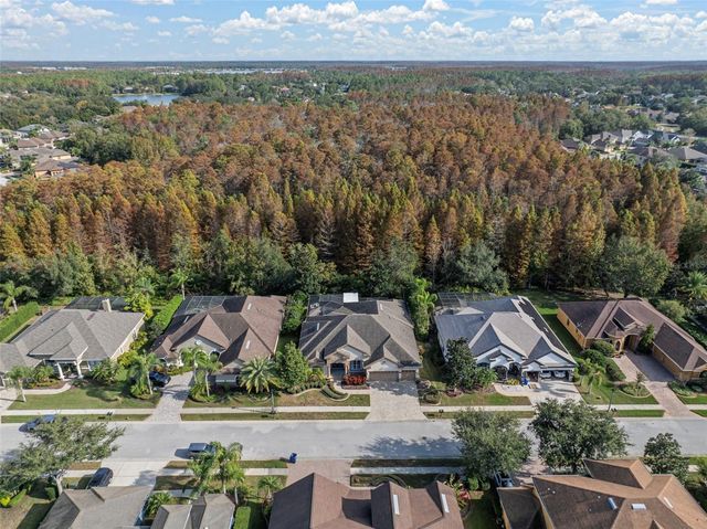 15035 WIND WHISPER DRIVE, Odessa, FL 33556