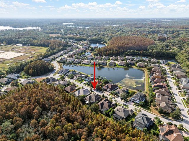 15035 WIND WHISPER DRIVE, Odessa, FL 33556