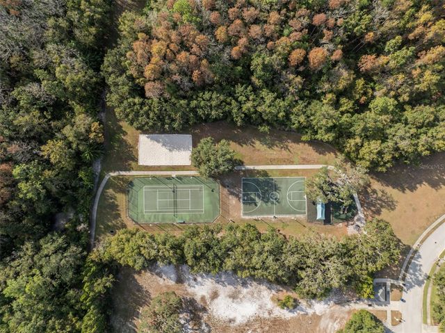 15035 WIND WHISPER DRIVE, Odessa, FL 33556