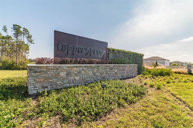 6065 SPRING CRAYFISH AVENUE, New Port Richey, FL 34653