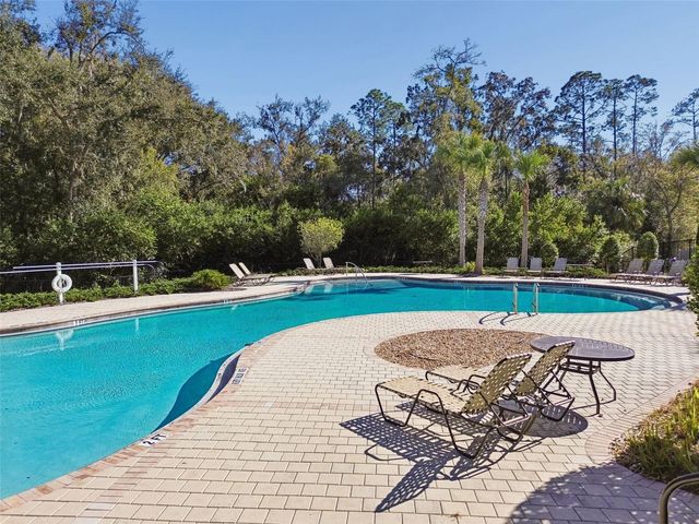 6065 SPRING CRAYFISH AVENUE, New Port Richey, FL 34653