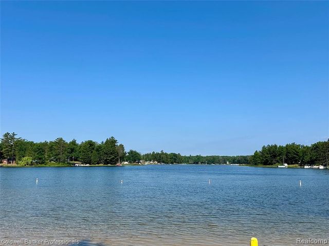 7351 Chain Lake Drive, South Branch, MI 48761