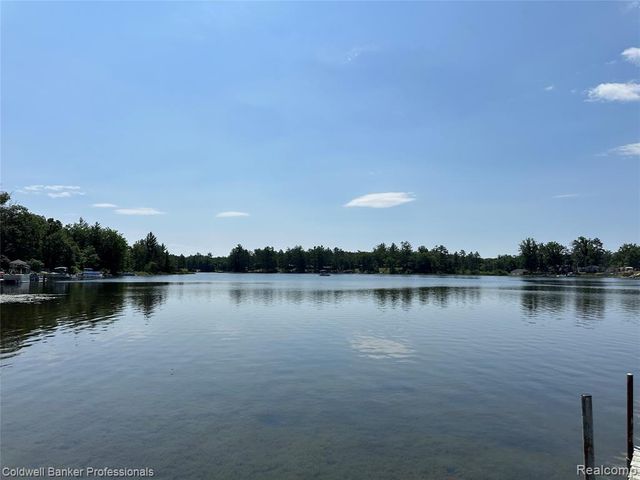 7351 Chain Lake Drive, South Branch, MI 48761