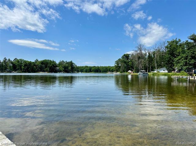 7351 Chain Lake Drive, South Branch, MI 48761