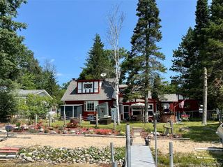 7351 Chain Lake Drive, South Branch, MI 48761
