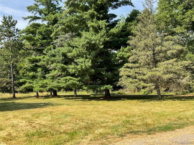 10119 Godfrey Road, Bancroft, MI 48414