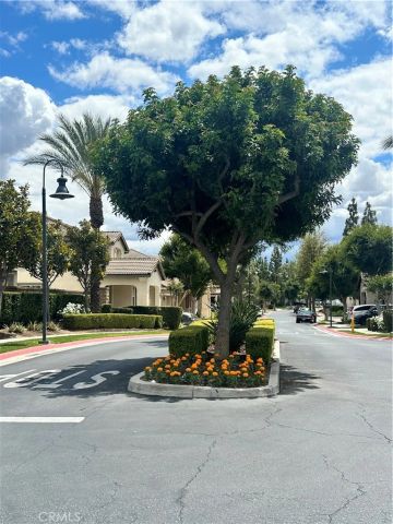 1646 Palermo, Riverside, CA 92507
