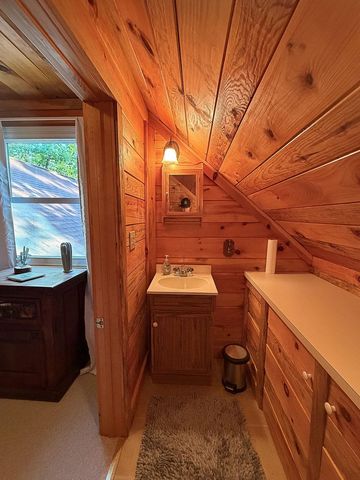 8369 Cedar Road, South Branch, MI 48761
