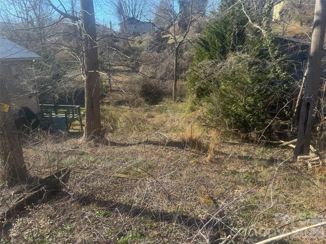 56 Moore Avenue, Asheville, NC 28806