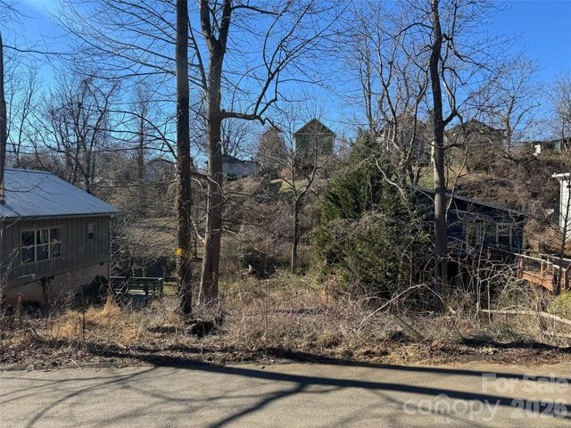 56 Moore Avenue, Asheville, NC 28806