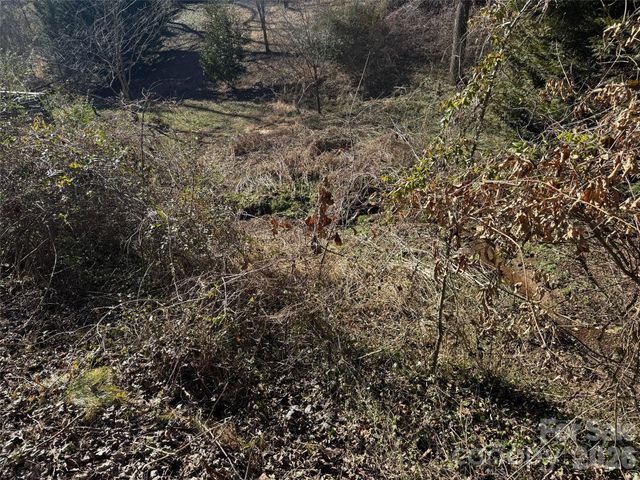 56 Moore Avenue, Asheville, NC 28806