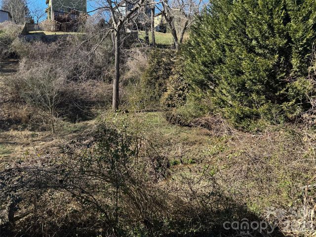 56 Moore Avenue, Asheville, NC 28806