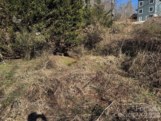 56 Moore Avenue, Asheville, NC 28806