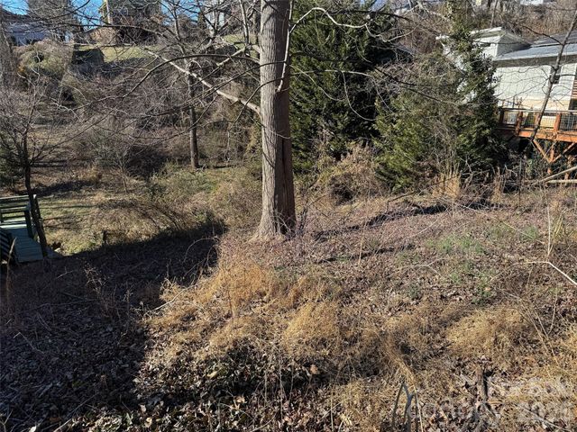 56 Moore Avenue, Asheville, NC 28806