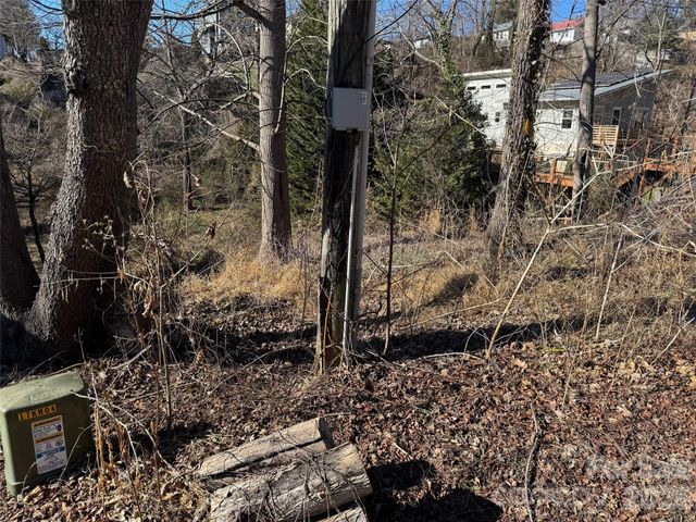 56 Moore Avenue, Asheville, NC 28806