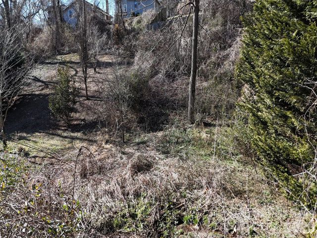 56 Moore Avenue, Asheville, NC 28806