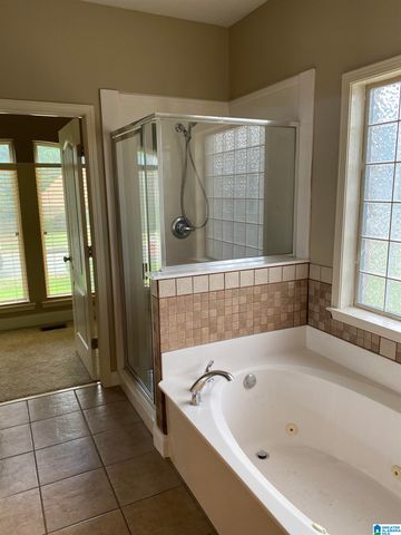 22917 COUNTRY RIDGE PARKWAY, Mccalla, AL 35111