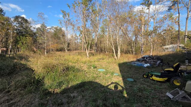 17511 Indian Trail, Porter, TX 77365