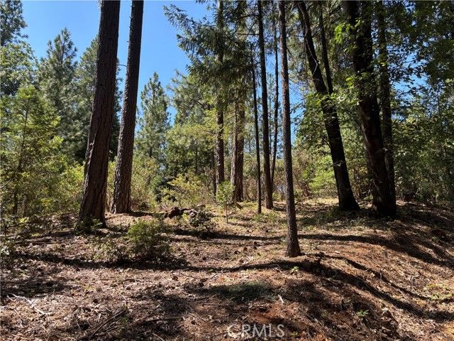 0 Via De Maia, Magalia, CA 95954