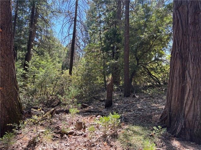 0 Via De Maia, Magalia, CA 95954