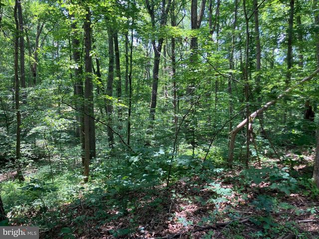 LOT 1223 N LAKESHORE DR, Louisa, VA 23093
