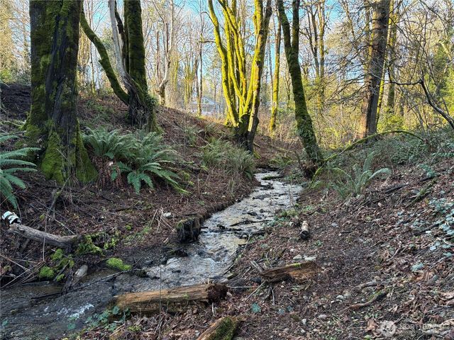 153 E Mason Lake Road, Shelton, WA 98584