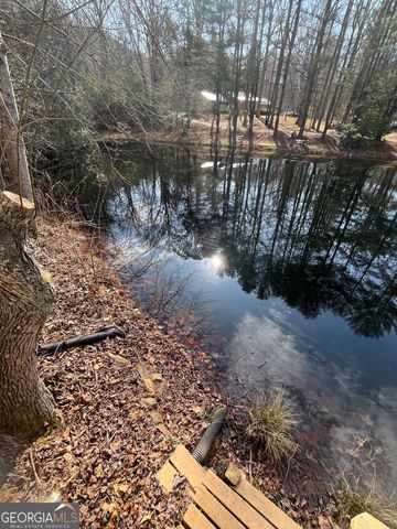 32 Nelson Lane, Hiawassee, GA 30546