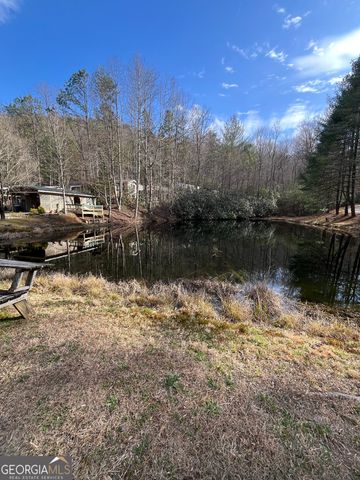 32 Nelson Lane, Hiawassee, GA 30546