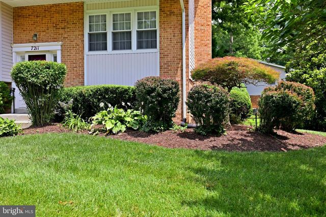 7211 ASHVIEW DR, Springfield, VA 22153