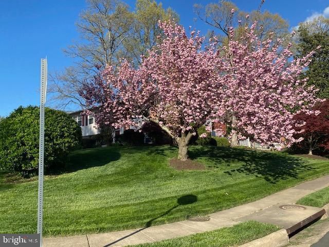 7211 ASHVIEW DR, Springfield, VA 22153