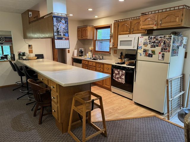 4392 W 9 Mile Road, Irons, MI 49644