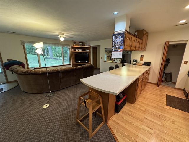 4392 W 9 Mile Road, Irons, MI 49644