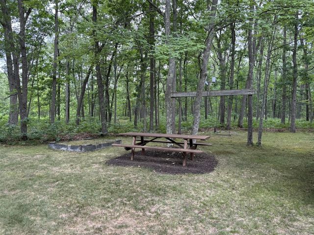 4392 W 9 Mile Road, Irons, MI 49644