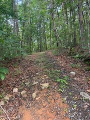 10.96 Ac Paramount Trail, Ellijay, GA 30536