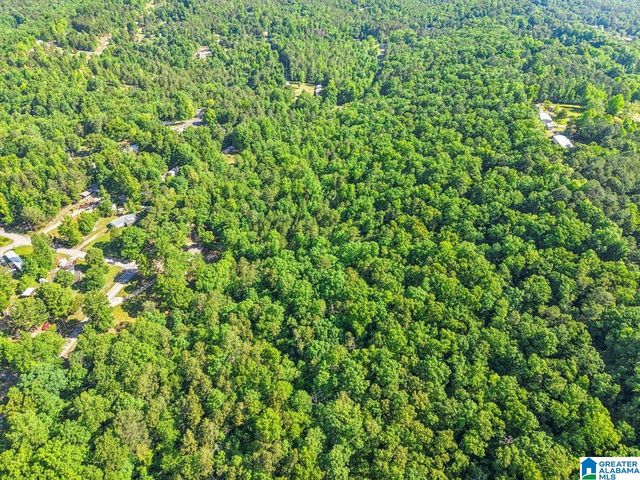 1114 ROULAIN ROAD, Odenville, AL 35120