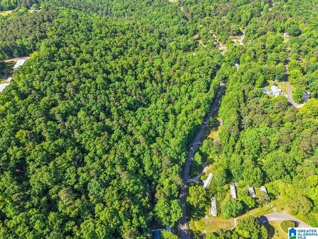 1114 ROULAIN ROAD, Odenville, AL 35120