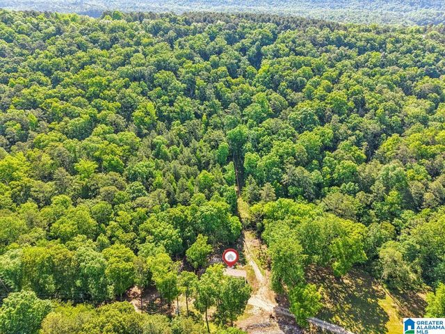 1114 ROULAIN ROAD, Odenville, AL 35120