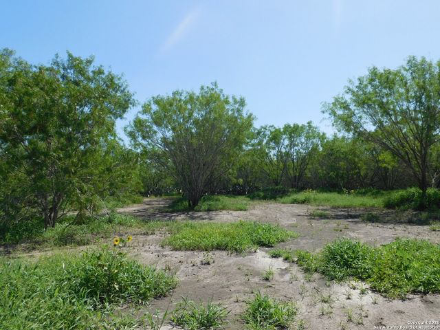 TBD McCauley Rd, Floresville, TX 78114