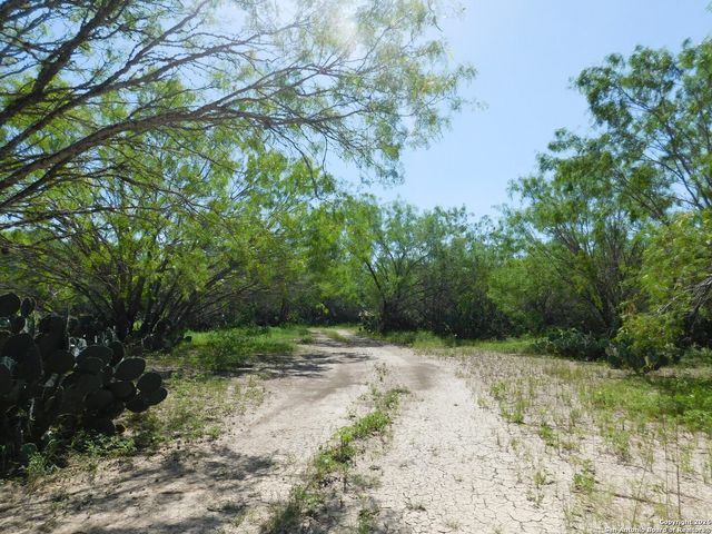 TBD McCauley Rd, Floresville, TX 78114