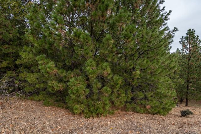 23717-Lot 127 Darkhorse Dr, Auburn, CA 95602