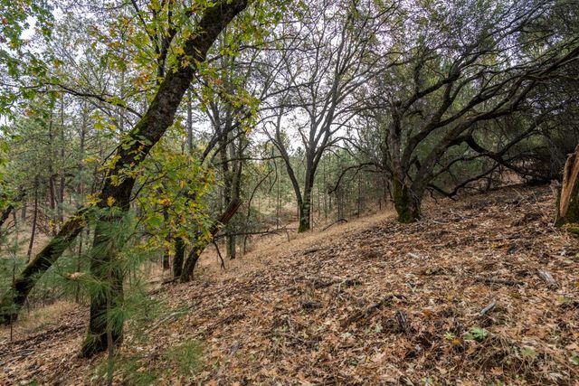 23717-Lot 127 Darkhorse Dr, Auburn, CA 95602