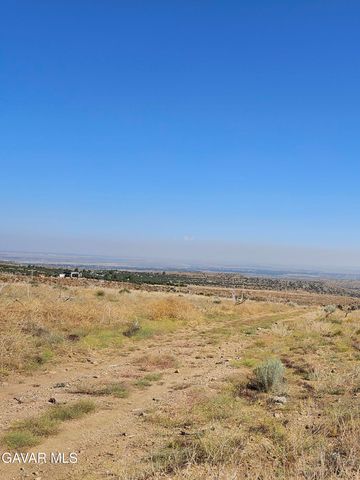 Vac 116 Ste Vic Tumbleweed Rd, Juniper Hills, CA 93543