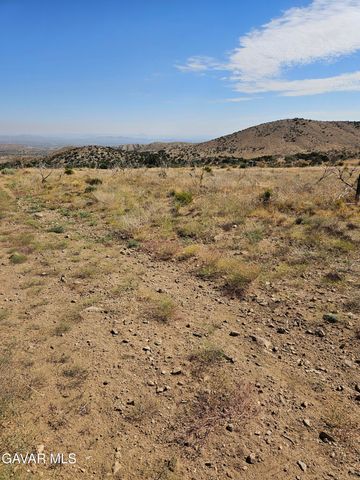 Vac 116 Ste Vic Tumbleweed Rd, Juniper Hills, CA 93543