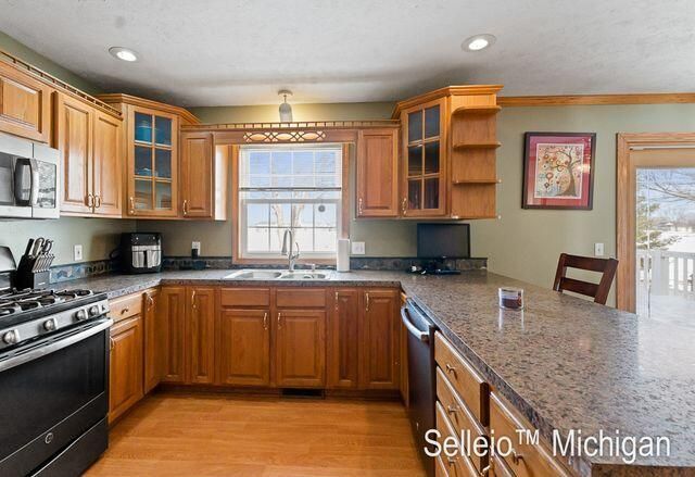 1689 Morning Dew Drive Sw, Byron Twp, MI 49315