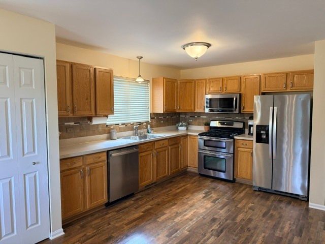 513 Pheasant Chase Drive, Bolingbrook, IL 60490