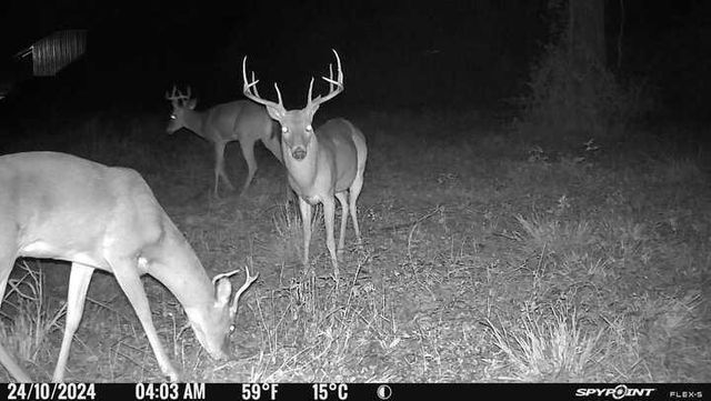 757 County Road 109, Devers, TX 77538
