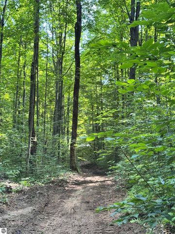 5466 Scholl Road, Mancelona, MI 49659